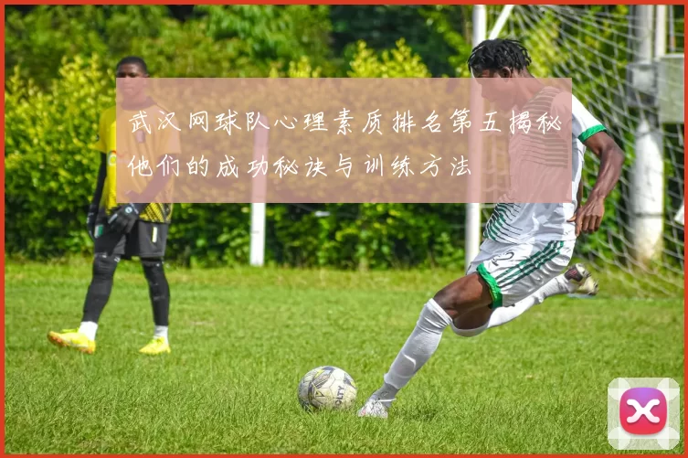武汉网球队心理素质排名第五揭秘他们的成功秘诀与训练方法