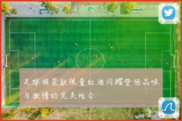 足球明星款限量红酒闪耀登场品味与激情的完美结合