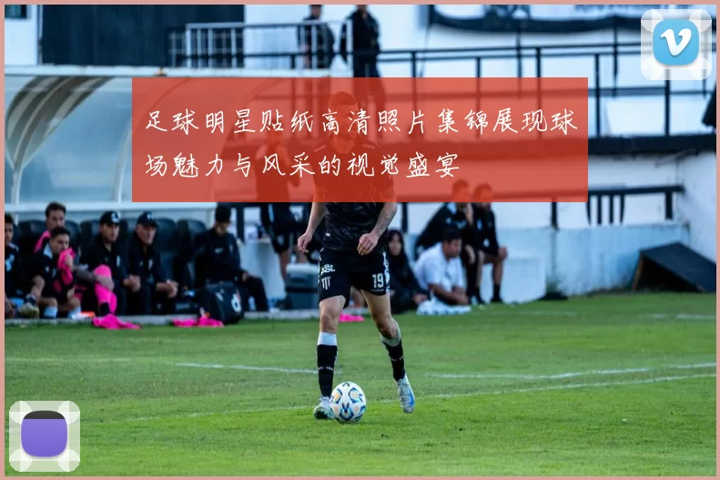 足球明星贴纸高清照片集锦展现球场魅力与风采的视觉盛宴