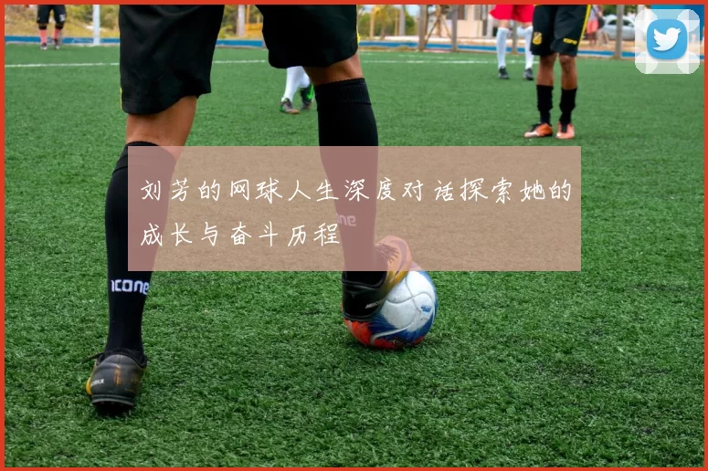 刘芳的网球人生深度对话探索她的成长与奋斗历程