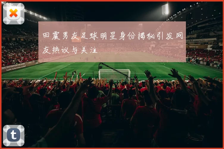 田震男友足球明星身份揭秘引发网友热议与关注