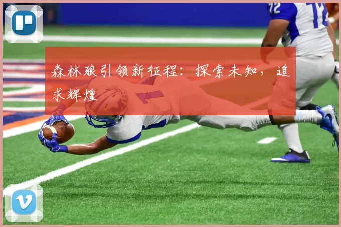 森林狼引领新征程：探索未知，追求辉煌