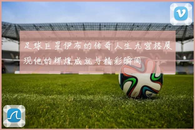 足球巨星伊布的传奇人生九宫格展现他的辉煌成就与精彩瞬间