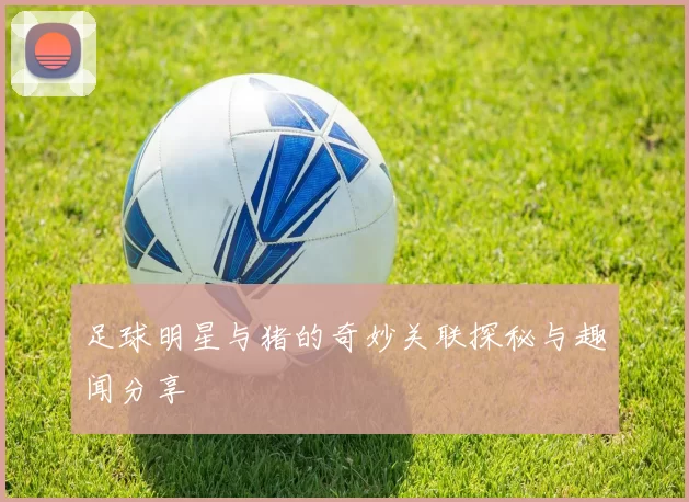 足球明星与猪的奇妙关联探秘与趣闻分享