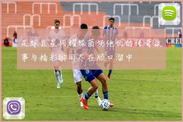 足球巨星闪耀绿茵场他们的传奇故事与精彩瞬间尽在顺口溜中