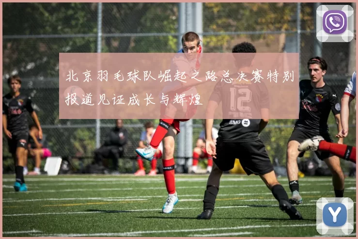 北京羽毛球队崛起之路总决赛特别报道见证成长与辉煌