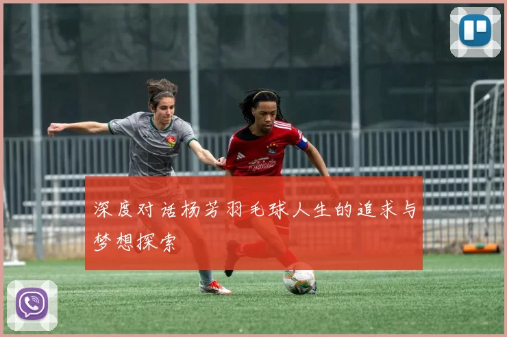 深度对话杨芳羽毛球人生的追求与梦想探索