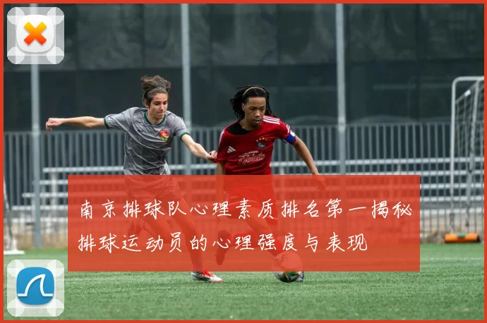 南京排球队心理素质排名第一揭秘排球运动员的心理强度与表现