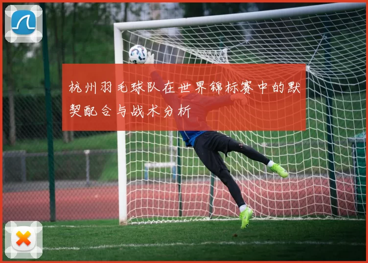 杭州羽毛球队在世界锦标赛中的默契配合与战术分析
