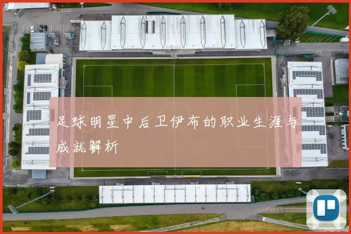 足球明星中后卫伊布的职业生涯与成就解析