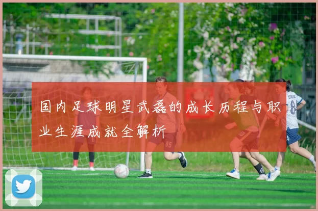 国内足球明星武磊的成长历程与职业生涯成就全解析