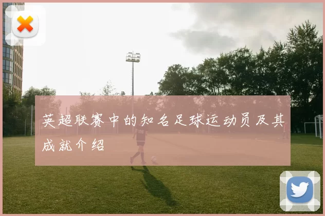 英超联赛中的知名足球运动员及其成就介绍