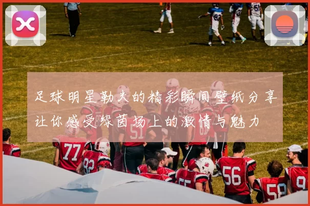 足球明星勒夫的精彩瞬间壁纸分享让你感受绿茵场上的激情与魅力
