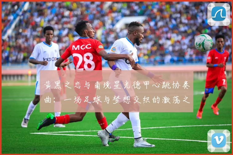 黄黑之恋与南境星光德甲心跳协奏曲：一场足球与梦想交织的激荡之旅