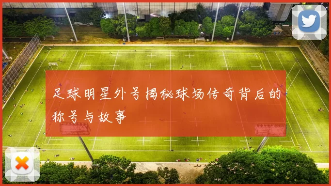 足球明星外号揭秘球场传奇背后的称号与故事