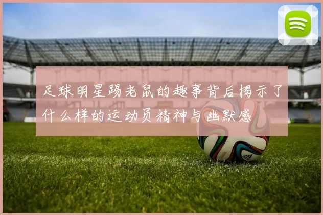 足球明星踢老鼠的趣事背后揭示了什么样的运动员精神与幽默感