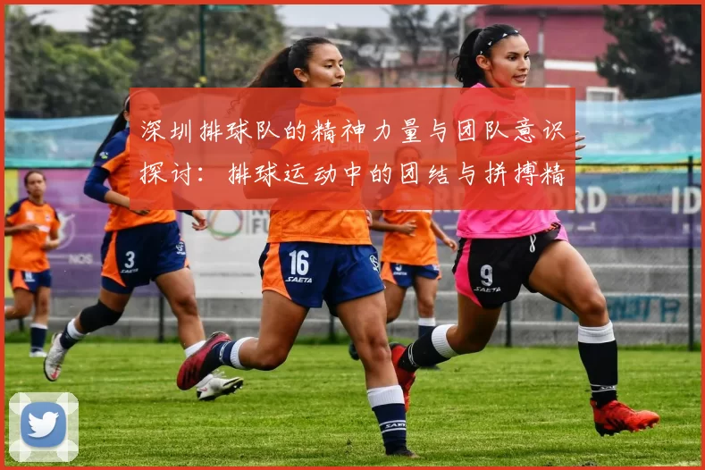 深圳排球队的精神力量与团队意识探讨:排球运动中的团结与拼搏精神