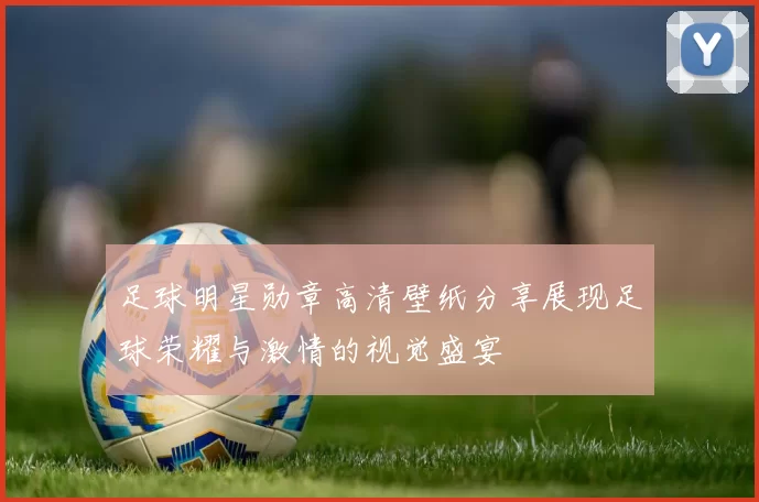 足球明星勋章高清壁纸分享展现足球荣耀与激情的视觉盛宴