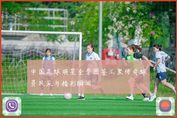 中国足球明星全景图鉴汇聚传奇球员风采与精彩瞬间