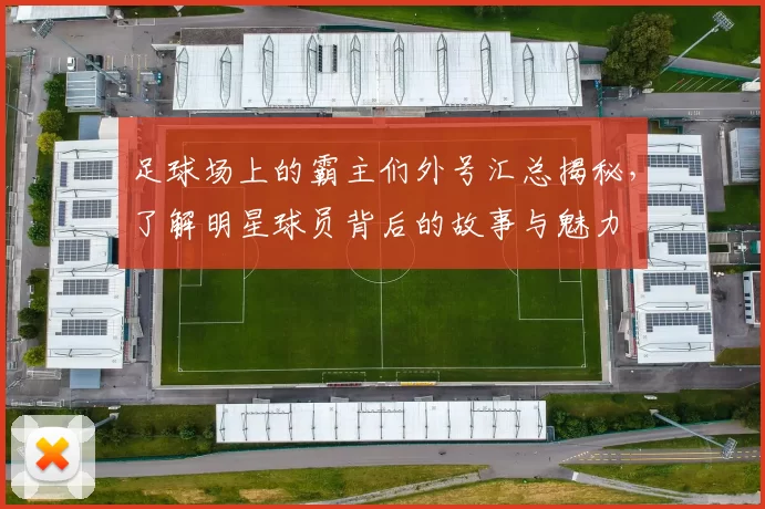 足球场上的霸主们外号汇总揭秘，了解明星球员背后的故事与魅力