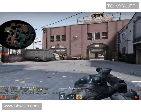 刘娜专访:从新手到高手的CSGO成长之路与心路历程分享