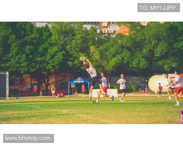 赛后分析:北京飞盘队与武汉飞盘队的战术对决与启示